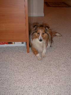 January 27, 2000 - Park City, UT