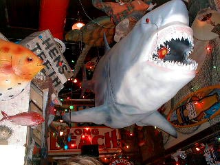 A shot of the unique decor at 'Jack's Crabshack'. 